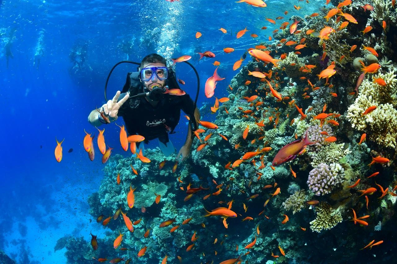 Sharm El Sheikh
