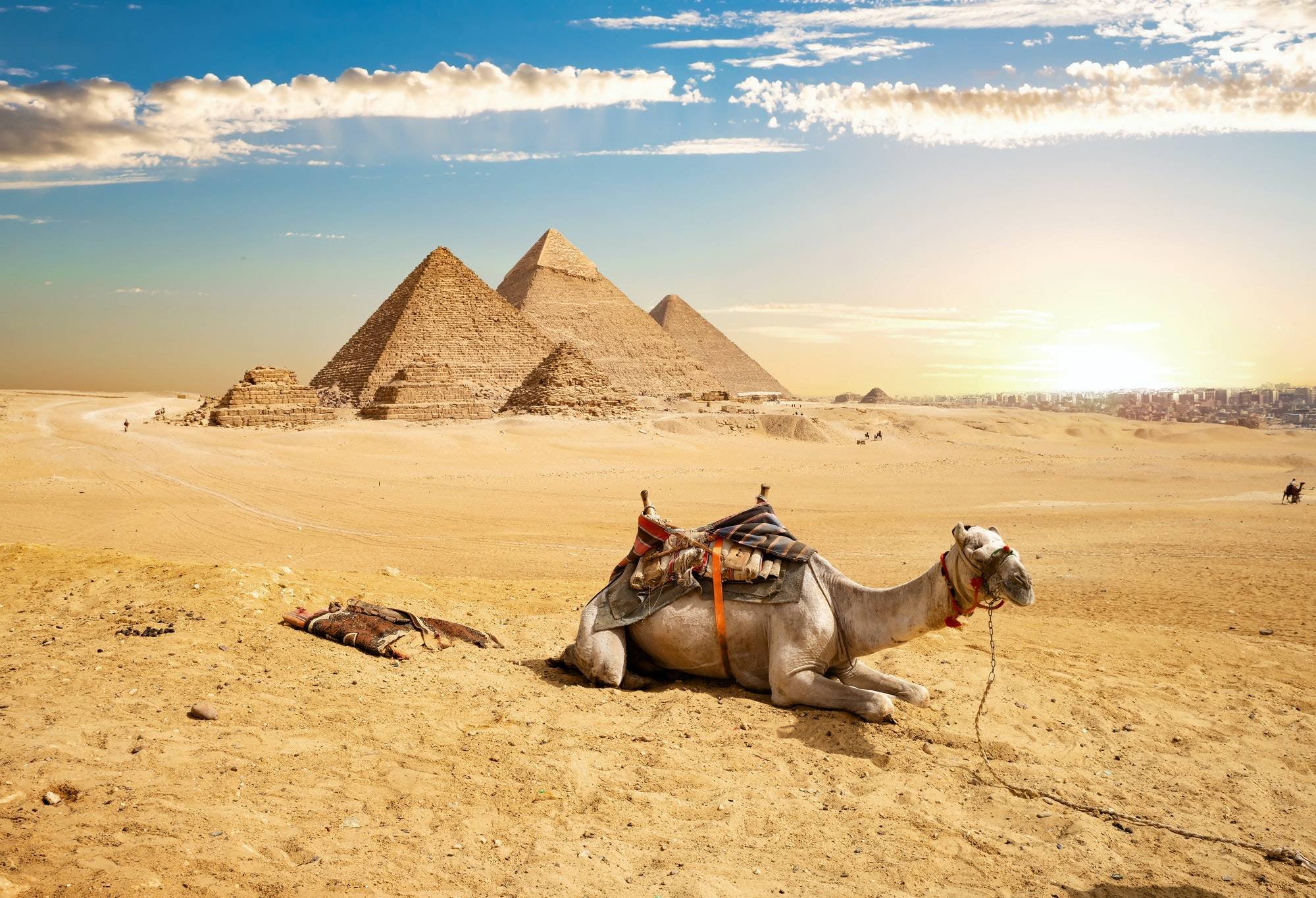 Camel Ride at Giza Pyramids